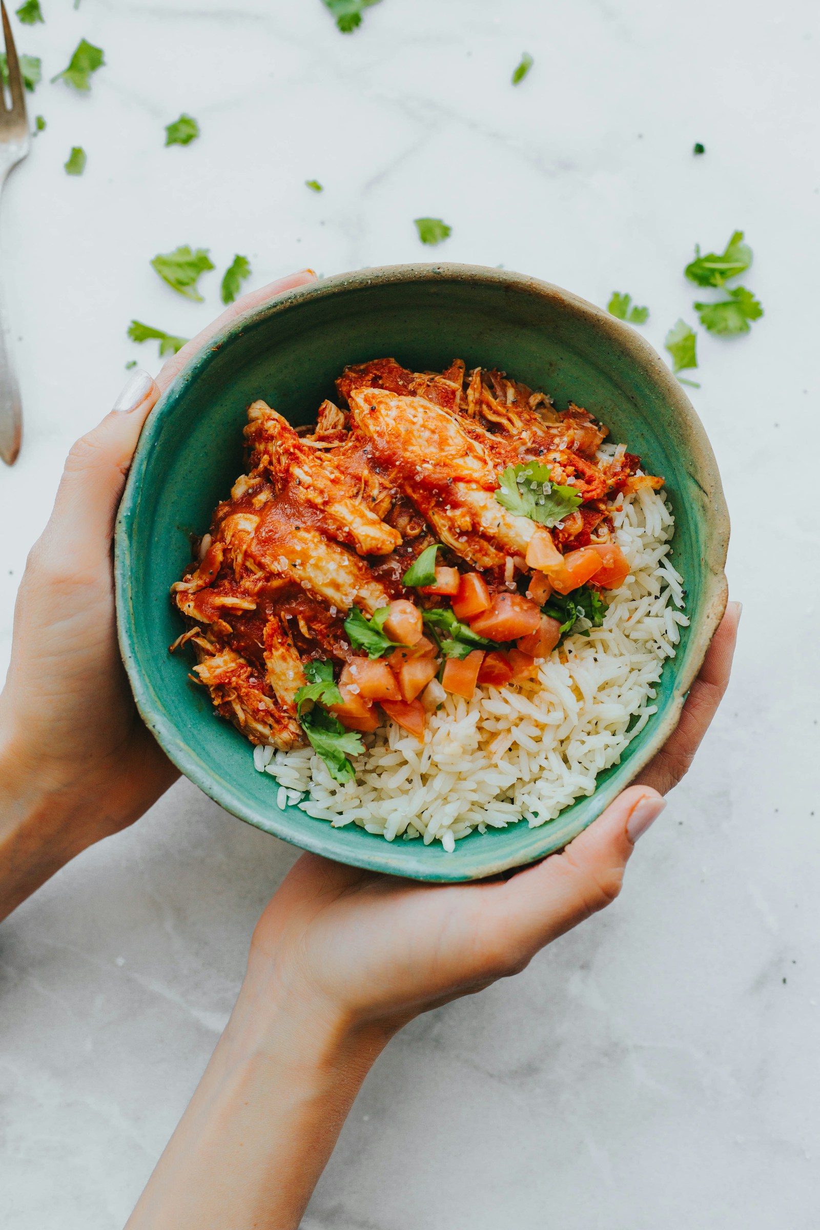 A chicken and rice bowl topped with tomato and herbs