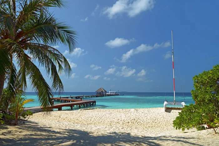 A palm-framed beach and wooden pier on Eriyadu, Maldives