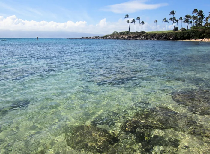 Clear water and palms around Kapalua Bay, Maui