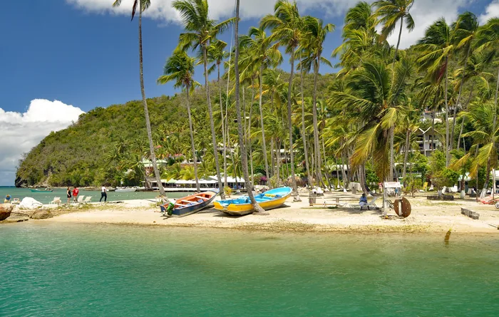 Palms and sheltered water at Marigot Bay, Saint Lucia