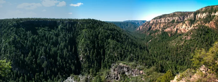 Forested slopes and sandstone cliffs in Oak Creek Canyon